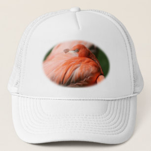 De Camionero Gorra Flamingo