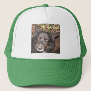 De Camionero Gorra Husky Collie Cross