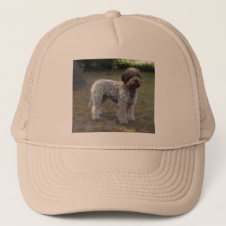 De Camionero gorra lagotto-romagnolo