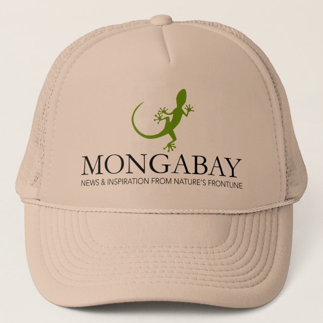 De Camionero Gorra Mongabay Lizard (Anverso)