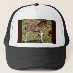 De Camionero Gorra negro del potro