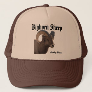 De Camionero Gorra ovino