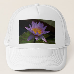 De Camionero Gorra Purple Lotus Waterlily