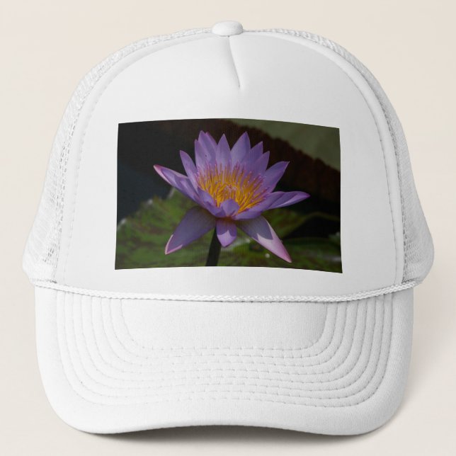 De Camionero Gorra Purple Lotus Waterlily (Anverso)