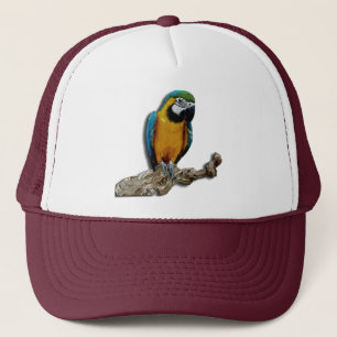 De Camionero Gorra solo del loro anaranjado