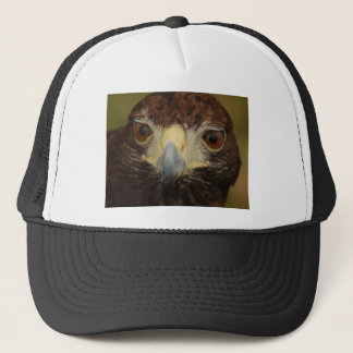 De Camionero Harris Hawk el gorra