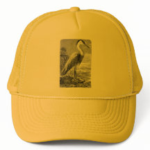 Heron Gorra