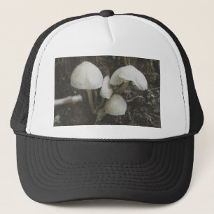 De Camionero Hongos en Gorra Stump