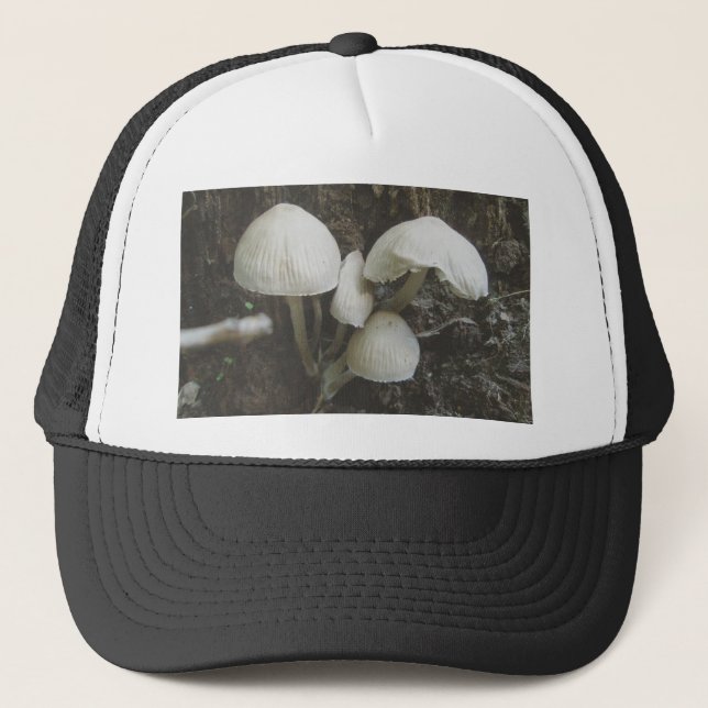 De Camionero Hongos en Gorra Stump (Anverso)