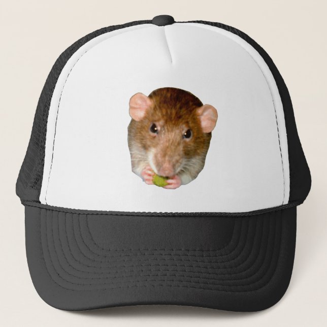 De Camionero Hungry Rat Gorra (Anverso)