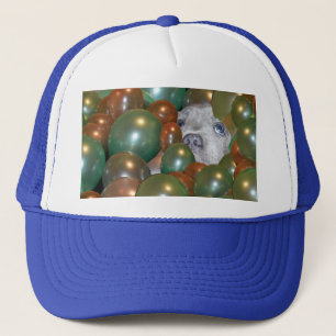 De Camionero Joven Staffy Escondido En Globos, Gorra