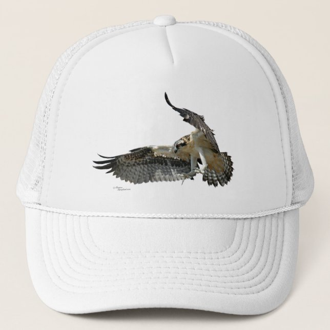 De Camionero Osprey o gorra del vuelo del halcón (Anverso)