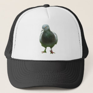 De Camionero Paloma en un gorra