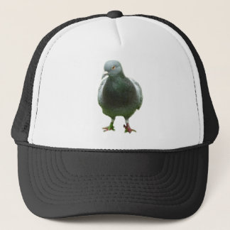 De Camionero Paloma en un gorra