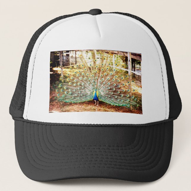 De Camionero Peacock, Gorra (Anverso)