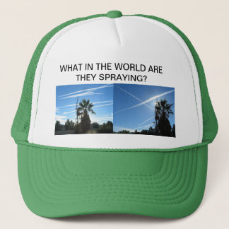 DE CAMIONERO QUÉ GORRA