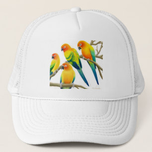 De Camionero Sun Conure repite mecánicamente el gorra