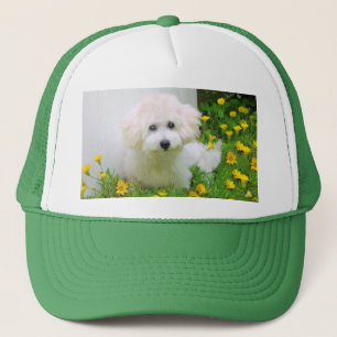 De Camionero Tu Foto En Un Gorra