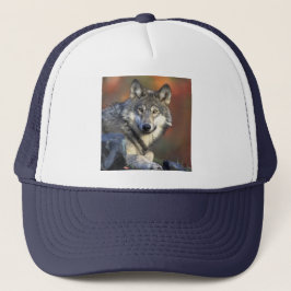 De Camionero Wolf Wisdom Gorra