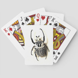 De Cartas Baraja del insecto