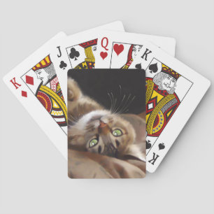 De Cartas Baraja juguetona del gatito