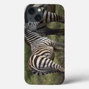 Baby Zebra iPad Mini funda