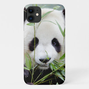 Para iPhone 11 Funda Foto gigante panda, panda geant , animales.