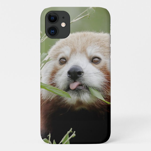 De Case-Mate Para iPhone Funda Foto panda roja, panda roux , animales. (Reverso)