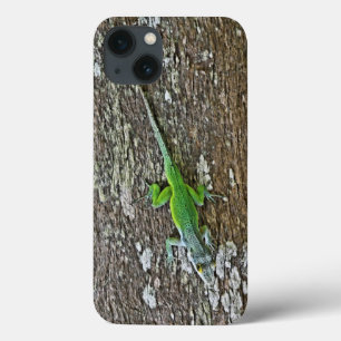 Funda Gecko