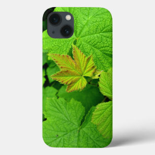 Green Leaves Ipad Air Funda