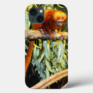 Para iPhone 13 Observación del León Dorado Tamarin, Funda del iPh