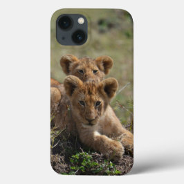 Para iPhone 13 Wild African Lion Cubs iPad Mini funda