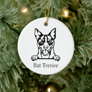 De Cerámica Adorno personalizado para mascotas con perro Rat T