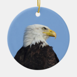 De Cerámica Águila calva, fauna, aves, adorno cerámico