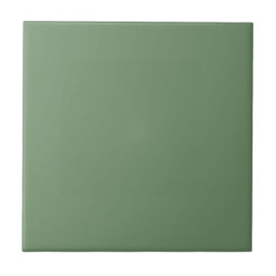 De Cerámica Azulejo con fondo verde menta pastel