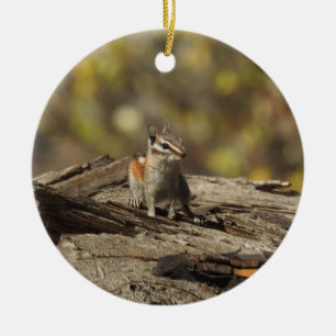 De Cerámica Chipmunk, vida silvestre, adorno