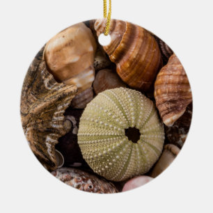 De Cerámica Conchas marinas mixtas adorno decorativo