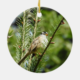 De Cerámica Gorrión blanco, pájaros, fauna, adorno