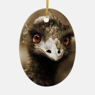 De Cerámica Ostriches Aspecto adorno