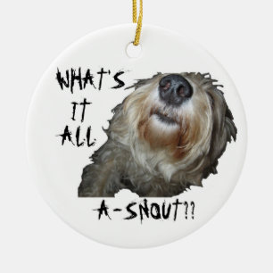 De Cerámica Perro "¿QUÉ ES TODO A-SNOUT?" Adorno