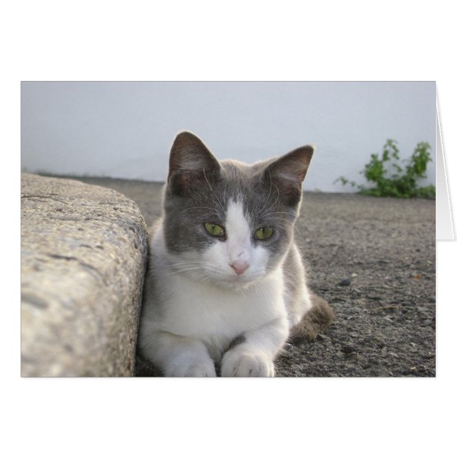 "De color" (Anverso (Horizontal))