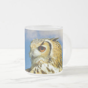 De Cristal Esmerilado Taza del búho real euroasiático