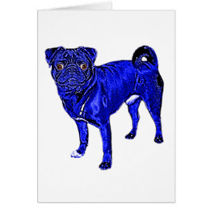 De doguillo azul