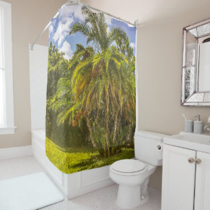 De Ducha Senegal Date Palm Shower Cortina