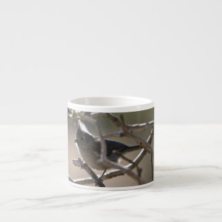 De Espresso Taza del café express del Titmouse del enebro