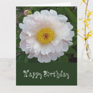 De grupo Xtra tarjeta de cumpleaños grande/floral