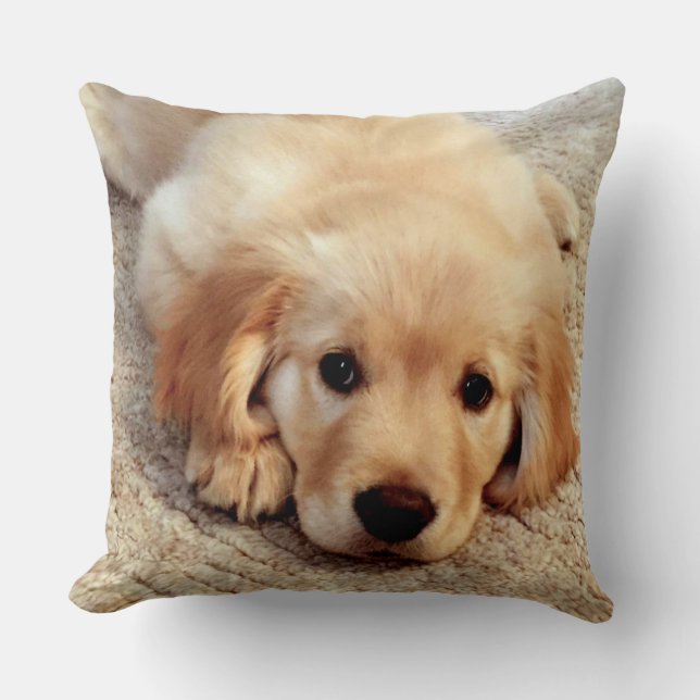De Henry del mundo almohada del golden retriever (Anverso)