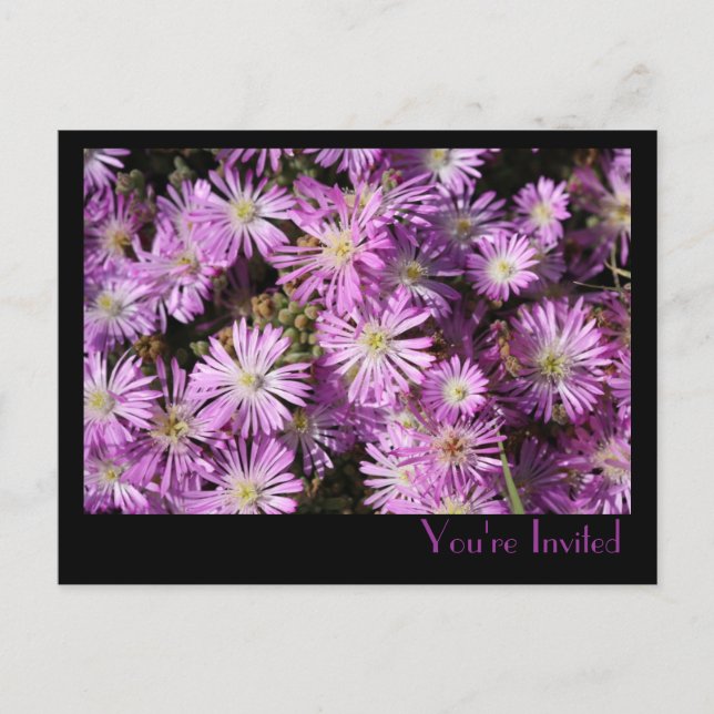 De Invitación Postal con flores moradas (Anverso)