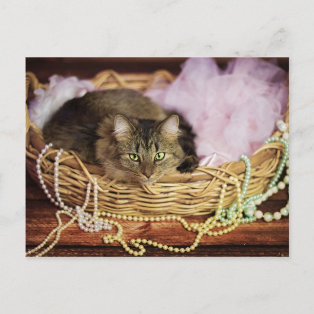 De Invitación postal del chica fiesta (Anverso)