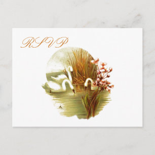 De Invitación Postal RSVP